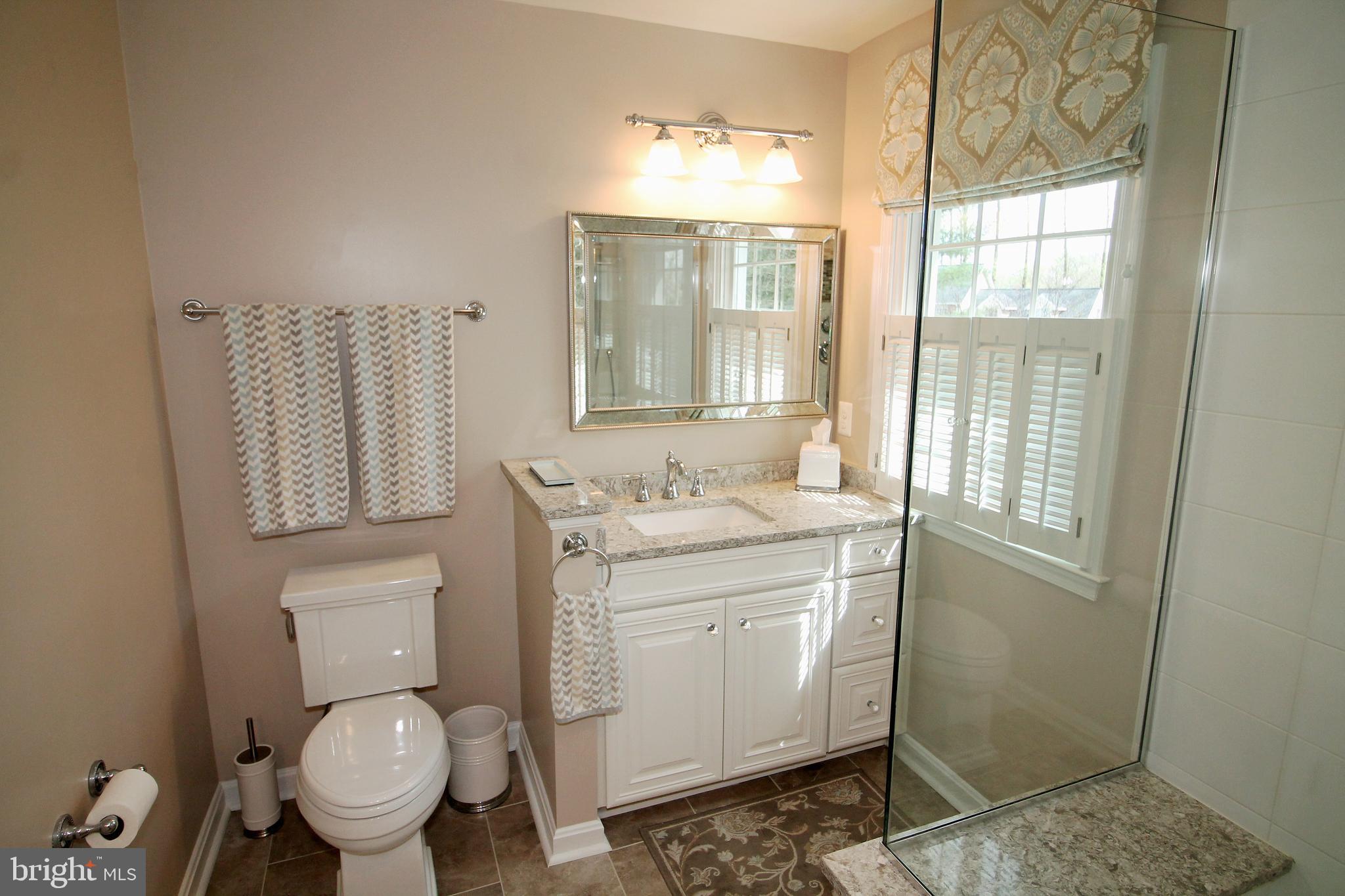 1003 Valewood Road Towson, MD 21286 - Photo 25 of 53 Master bath - glass and ceramic shower