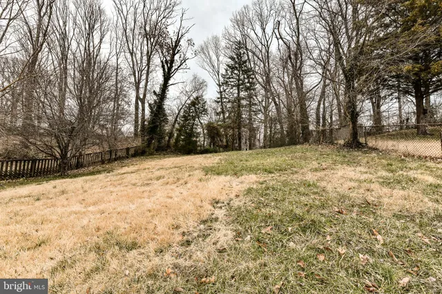 a view of a yard with trees