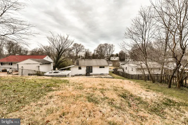 a view of a yard with a large tree in it