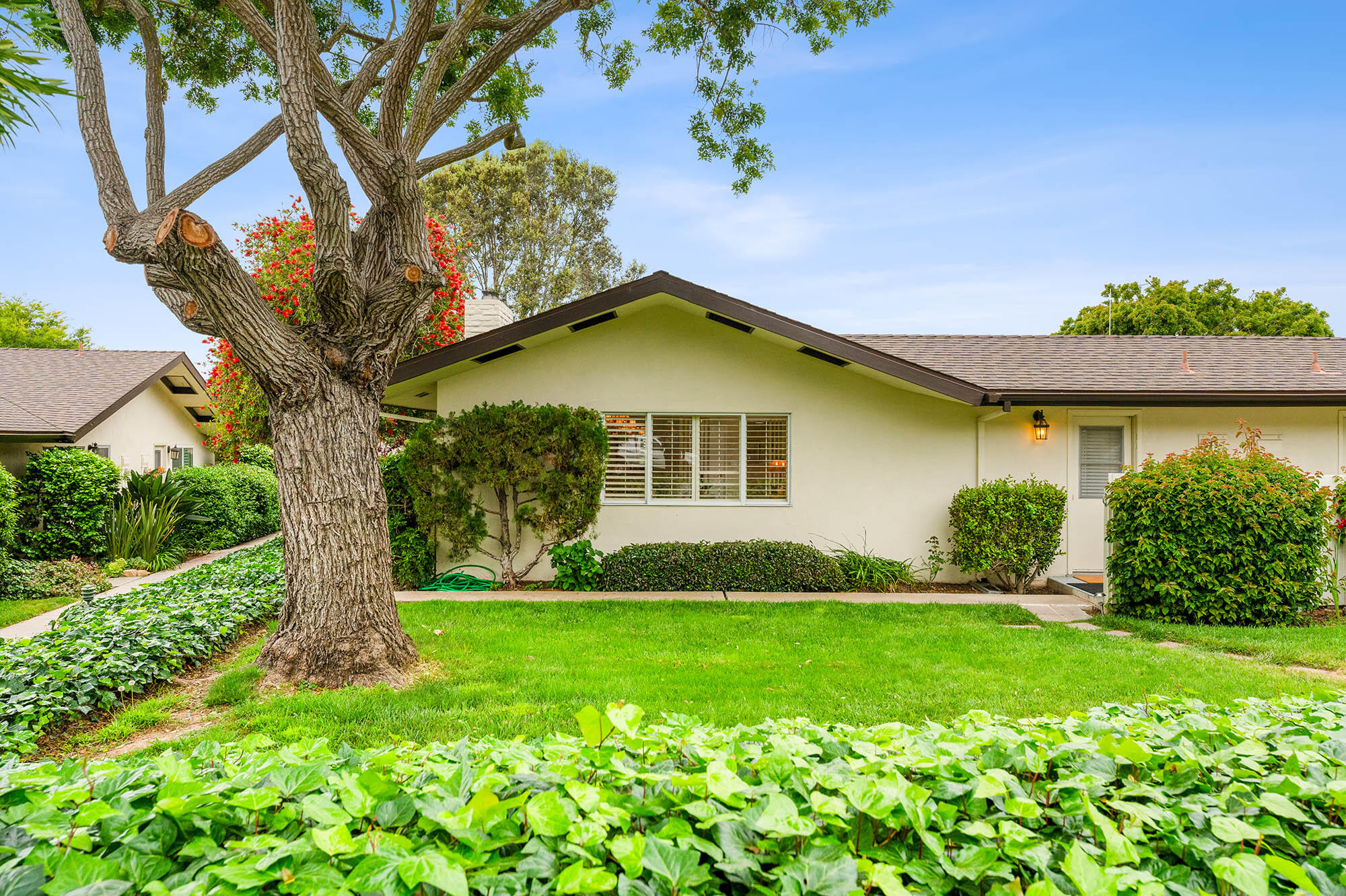 875 Cieneguitas Road Santa Barbara, CA 93110 - Photo 15 of 39 Front lawn - 875 Cieneguitas Rd 93110