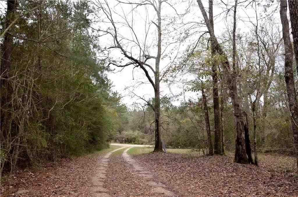 83488 Pierre Cemetary Road Folsom, LA 70437 - Photo 18 of 20 Gallery Image 18