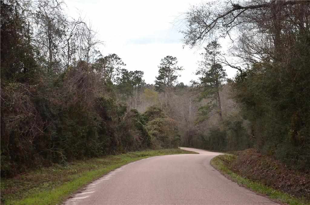83488 Pierre Cemetary Road Folsom, LA 70437 - Photo 20 of 20 Gallery Image 20