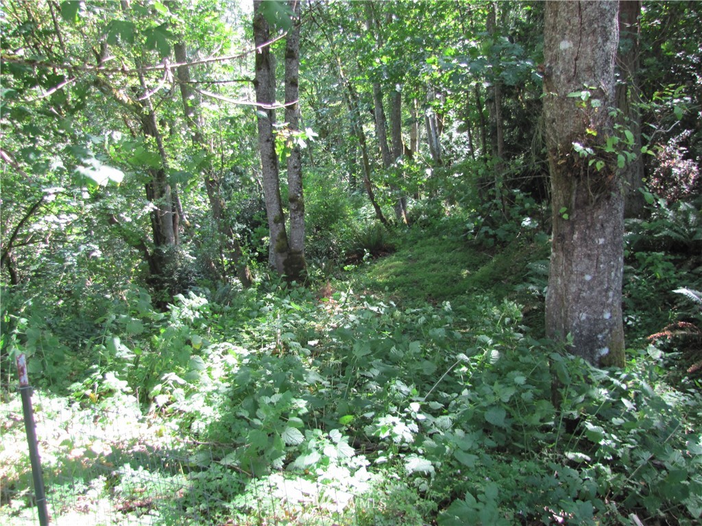 2030 East Maddock Road Port Angeles, WA 98362 - Photo 9 of 9 Gallery Image 9