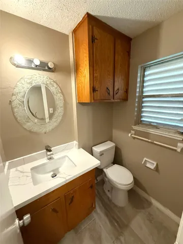 a bathroom with a sink a toilet and a mirror