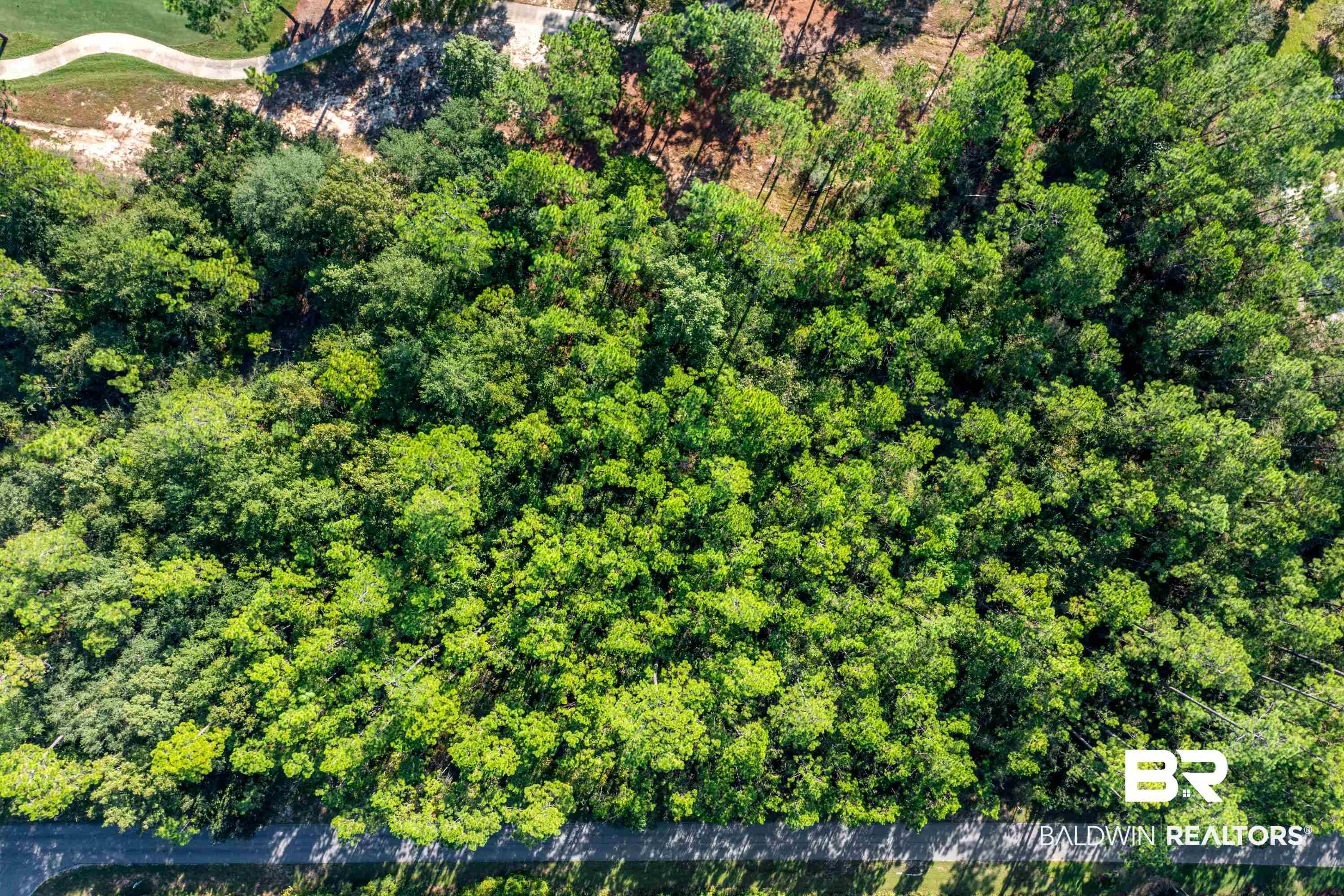 Lot 16 Steelwood Ridge Road Loxley, AL 36551 - Photo 11 of 19
