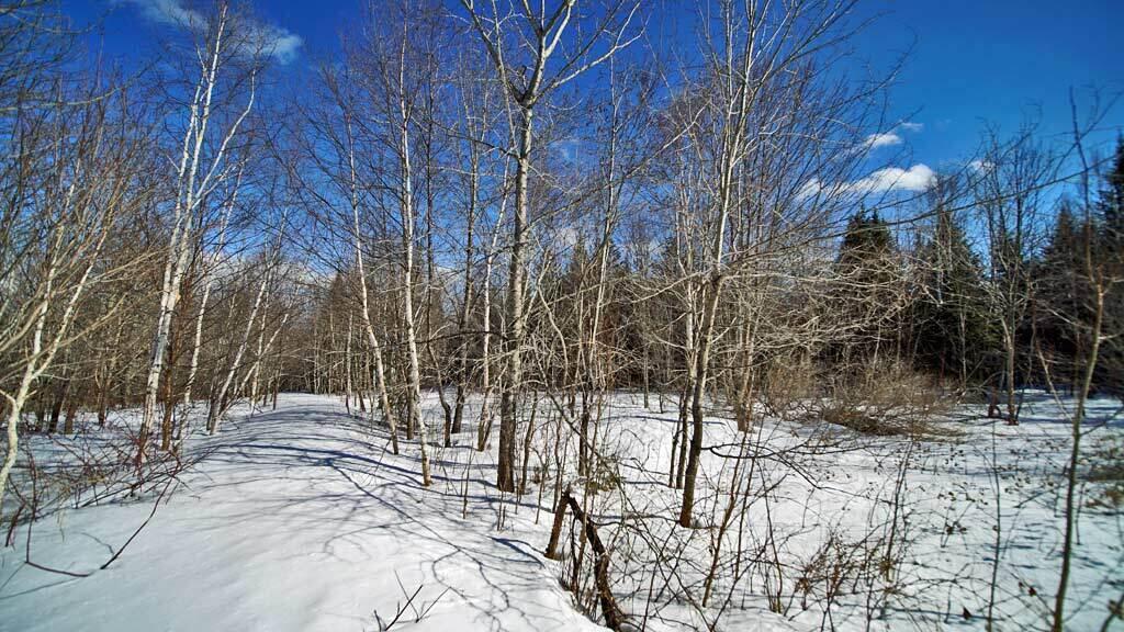 127 White Road Ludlow, ME 04730 - Photo 30 of 38 land-maine-log-cabin-camp