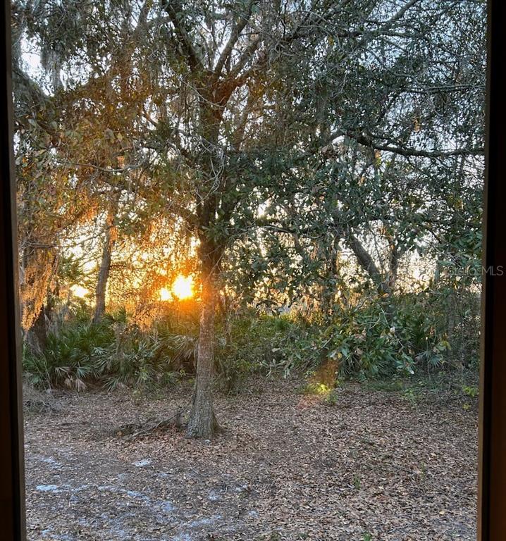 14635 Dupree Road Wimauma, FL 33598 - Photo 33 of 40