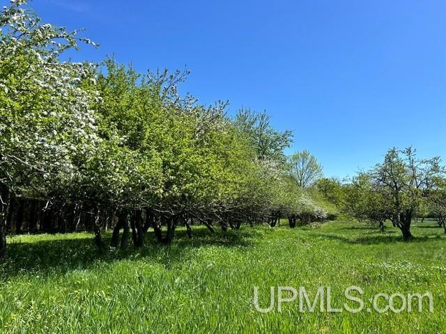 Tbd Tbd Bellaire Road Baraga, MI 49908 - Photo 42 of 49