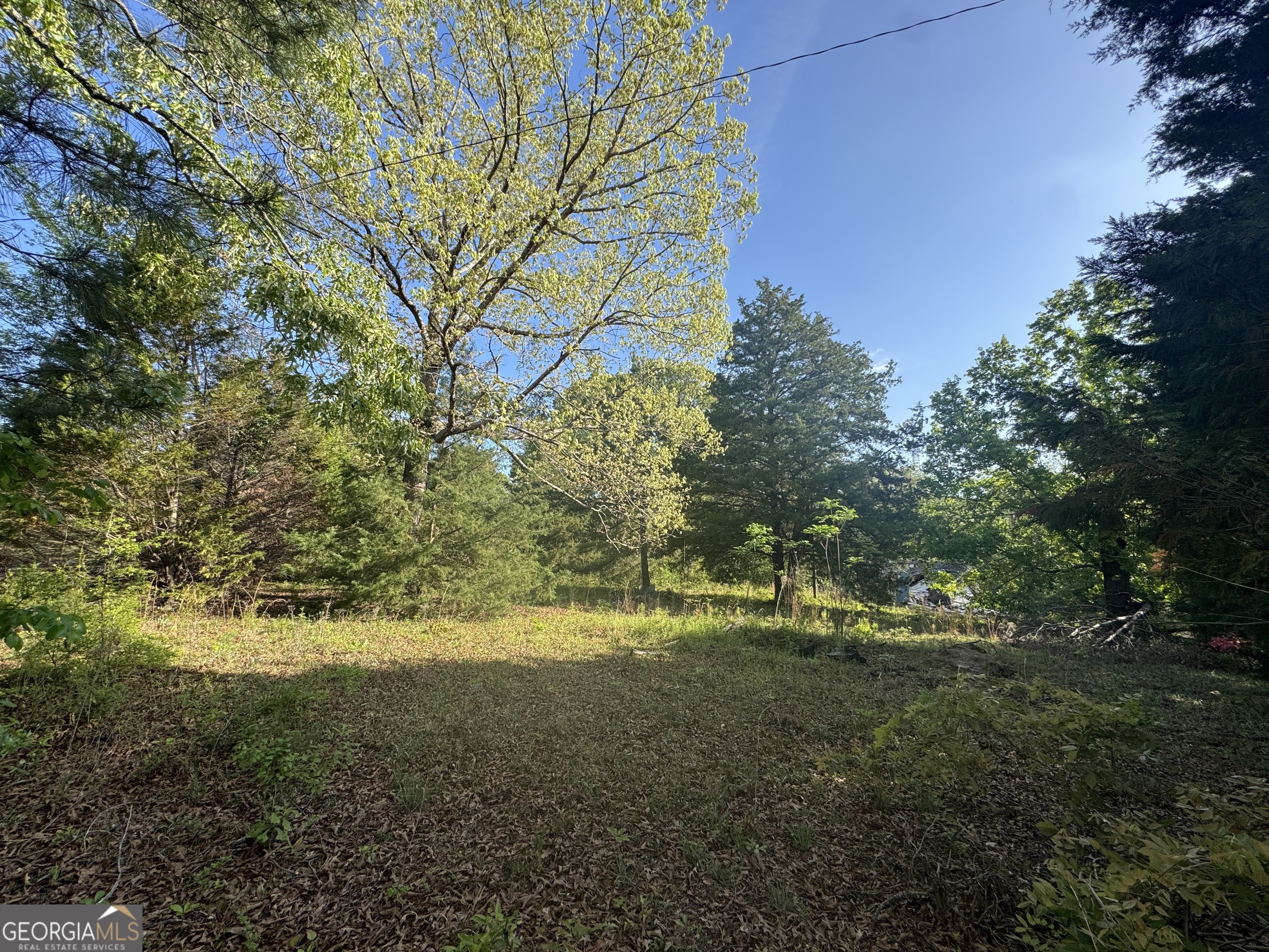 104 Old Perry Road Bonaire, GA 31005 - Photo 2 of 8