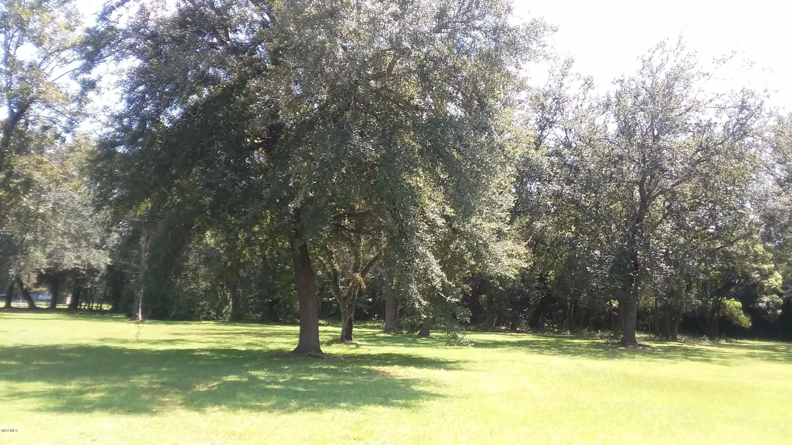 12335 Seaman Road Vancleave, MS 39565 - Photo 6 of 9 FRONT YARD 2
