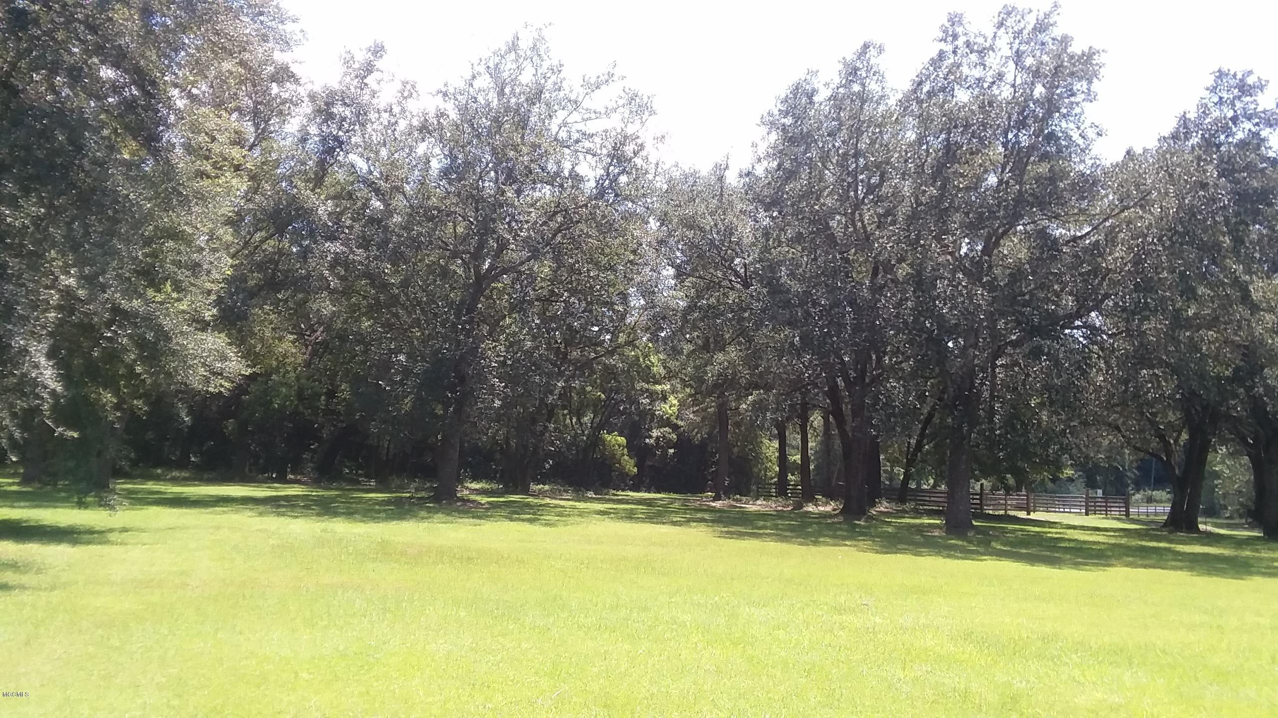 12335 Seaman Road Vancleave, MS 39565 - Photo 7 of 9 FRONT YARD 3