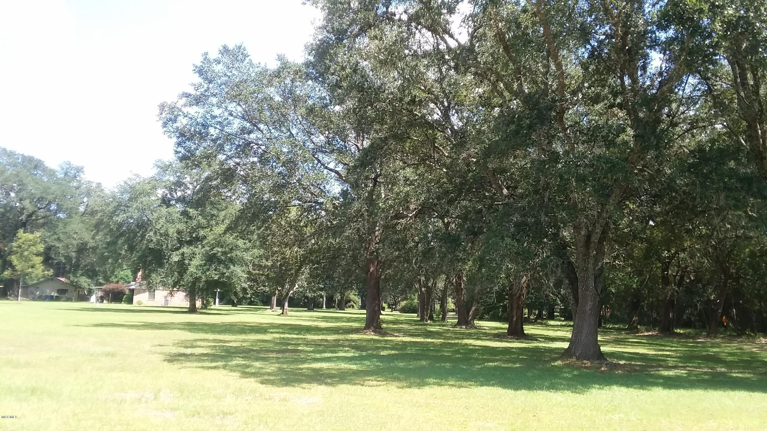 12335 Seaman Road Vancleave, MS 39565 - Photo 8 of 9 FRONT YARD 5