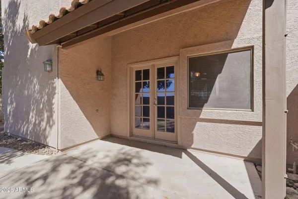 a tree in the middle of a yard