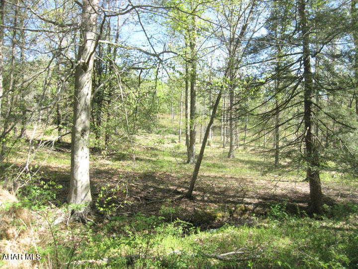 Off North Silver Pine Road Petersburg, PA 16669 - Photo 18 of 29 Gallery Image 18