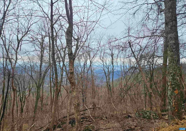 $135,000 | Tbd Lot 17-18 Tbd Lane, Free Union, VA 22940
