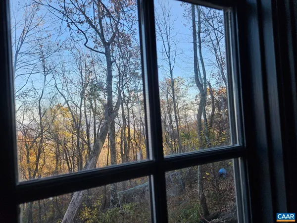 a view of a garden from a window