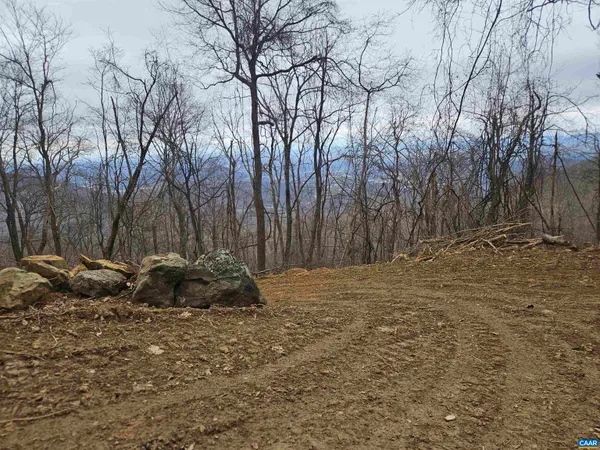 a backyard of a house with a large tree