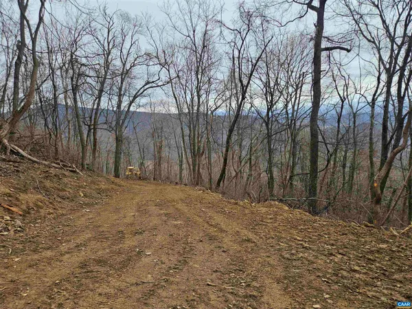 a backyard of a house with large trees