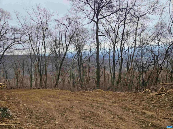 a row of trees with wooden fence