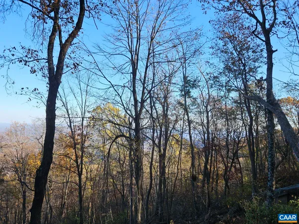 a view of roof and wooden floor