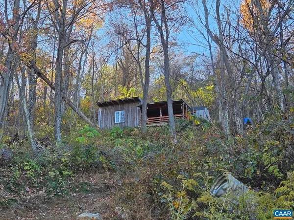 a view of a backyard with large trees