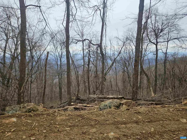 a view of a backyard of the house