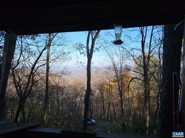 a view of a lot of trees