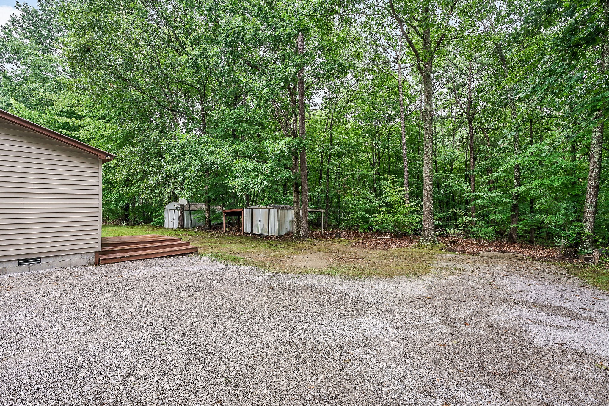 569 Robs Road Grimsley, TN 38565 - Photo 33 of 40 a view of a yard with a tree