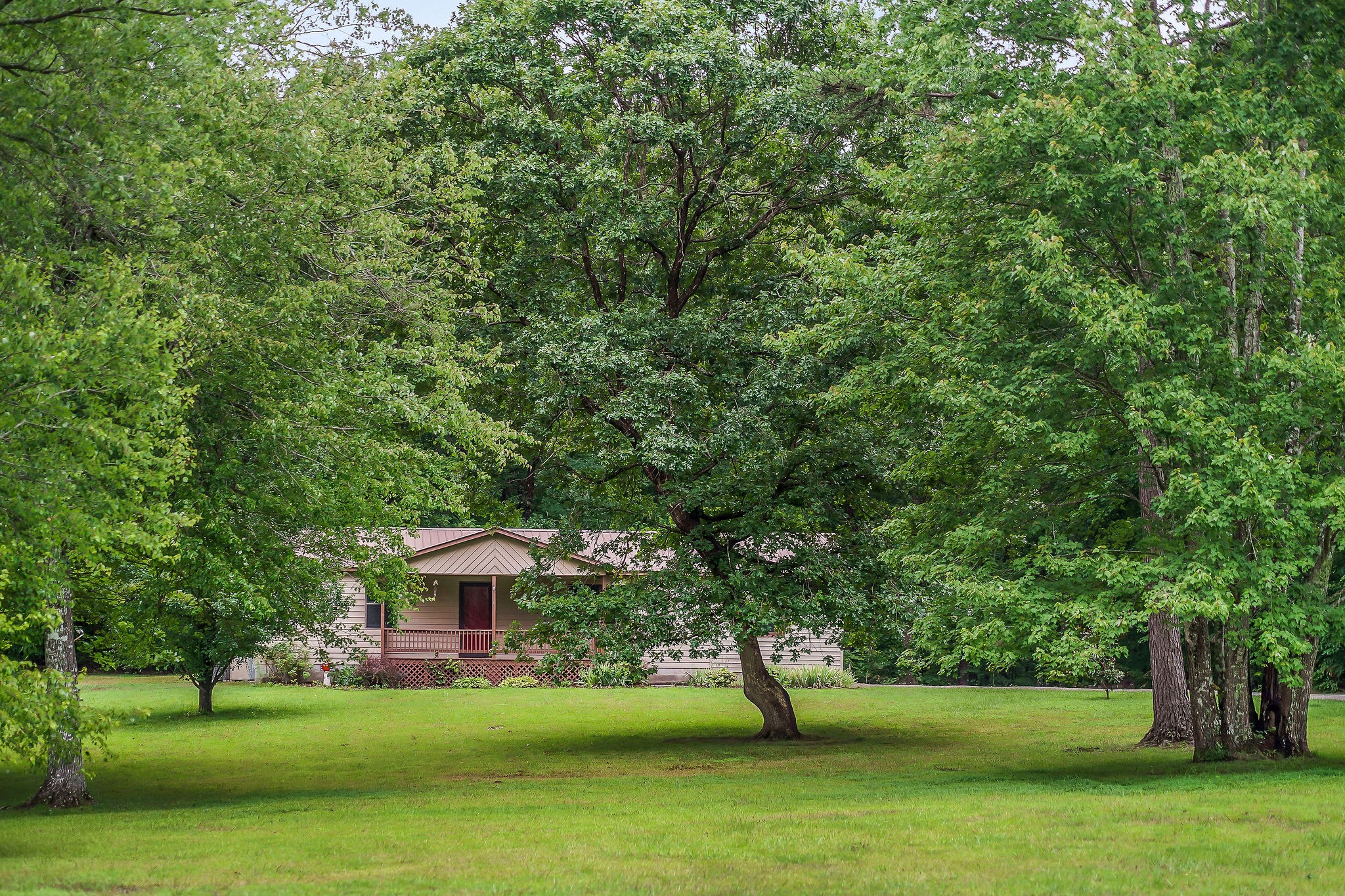 569 Robs Road Grimsley, TN 38565 - Photo 34 of 40 a view of a garden