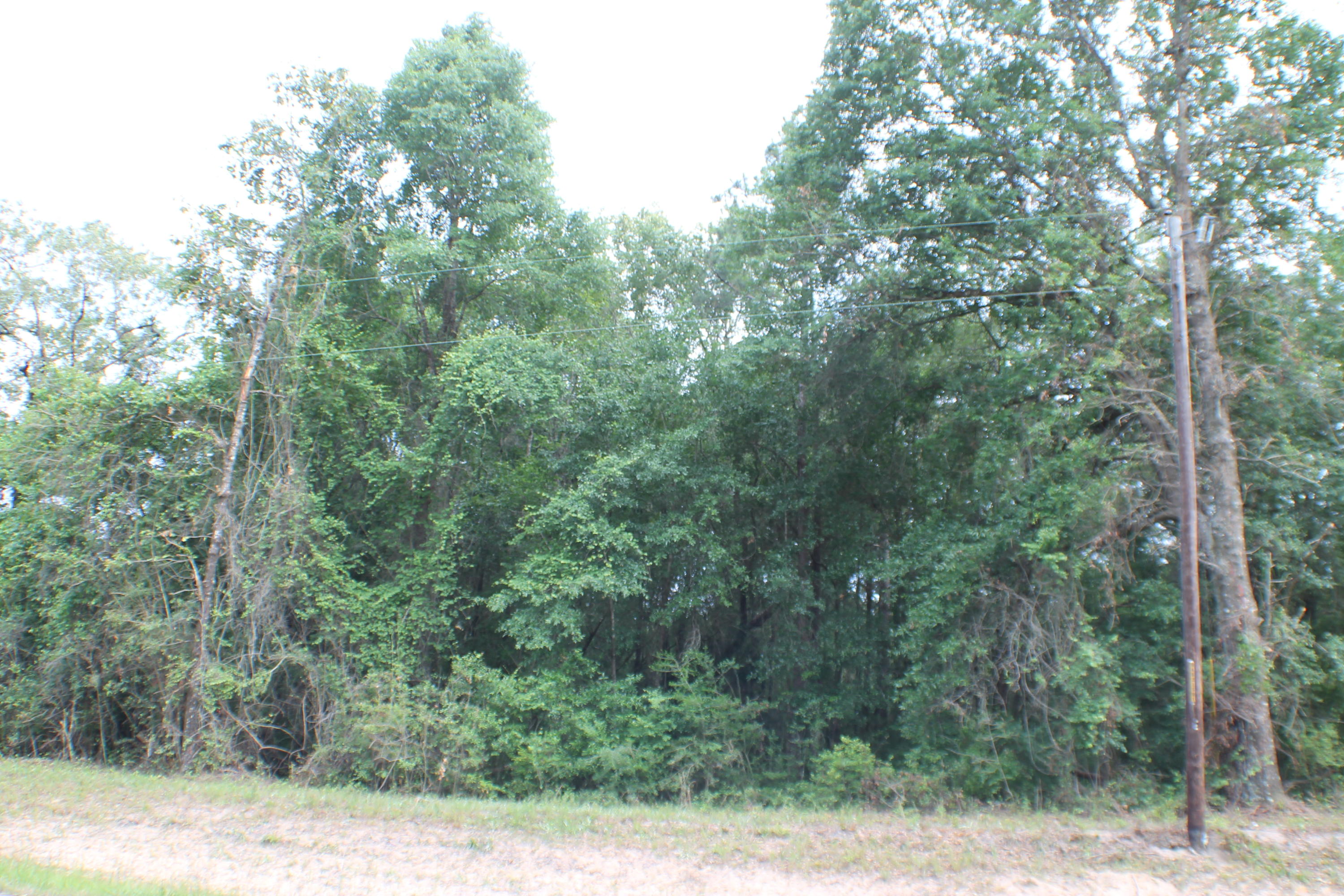 Xxx Plympton Road Laurel Hill, FL 32567 - Photo 2 of 5 IMG_7066