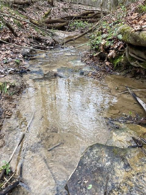0 Mt Olive Road Rockbridge, OH 43149 - Photo 6 of 8 Mt Olive Stream