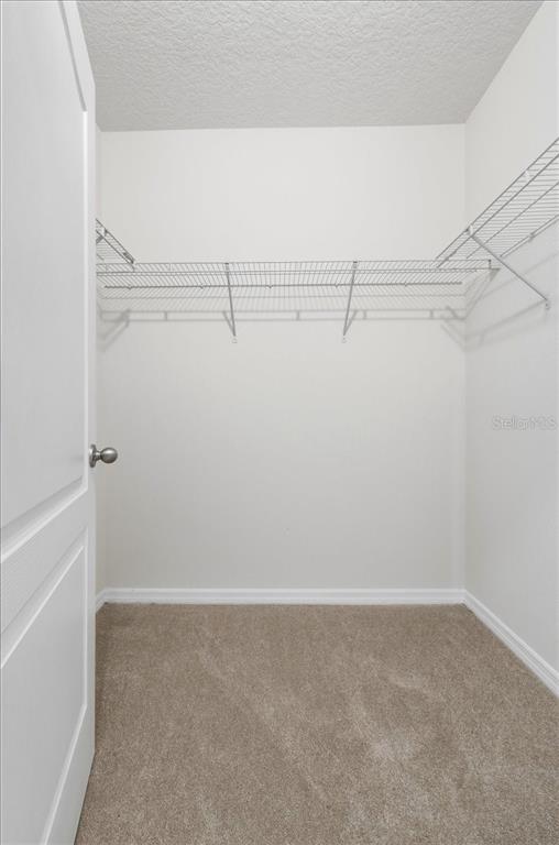 2829 Grandbury Grove Road Lakeland, FL 33811 - Photo 24 of 50