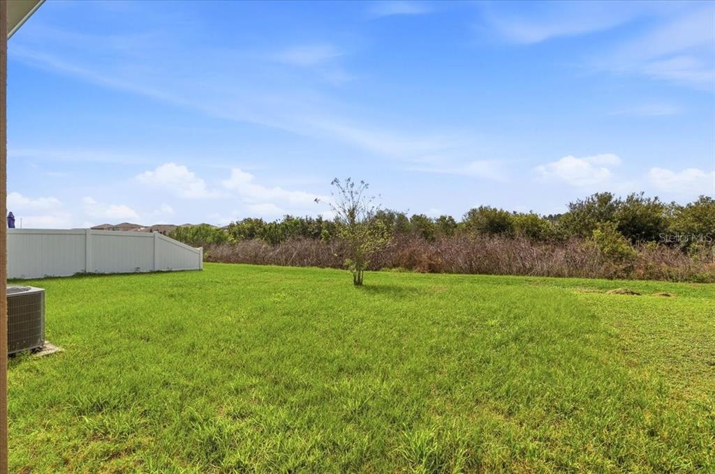 2829 Grandbury Grove Road Lakeland, FL 33811 - Photo 42 of 50