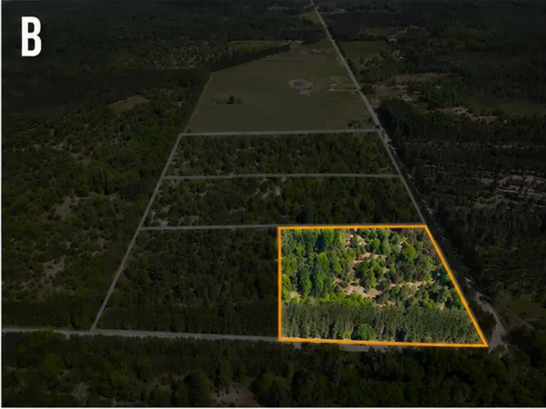 $84,900 | Parcel B Makinen Road, Kaleva, MI 49645