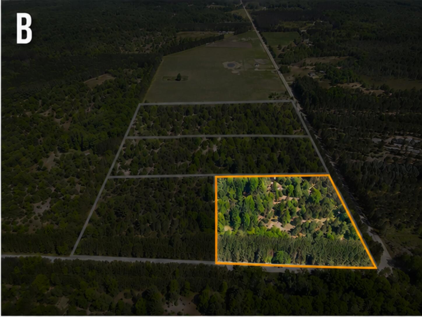 Parcel B Makinen Road Kaleva, MI 49645 - Photo 1 of 38 Untitled - June 25, 2026 at 15.21.22-2