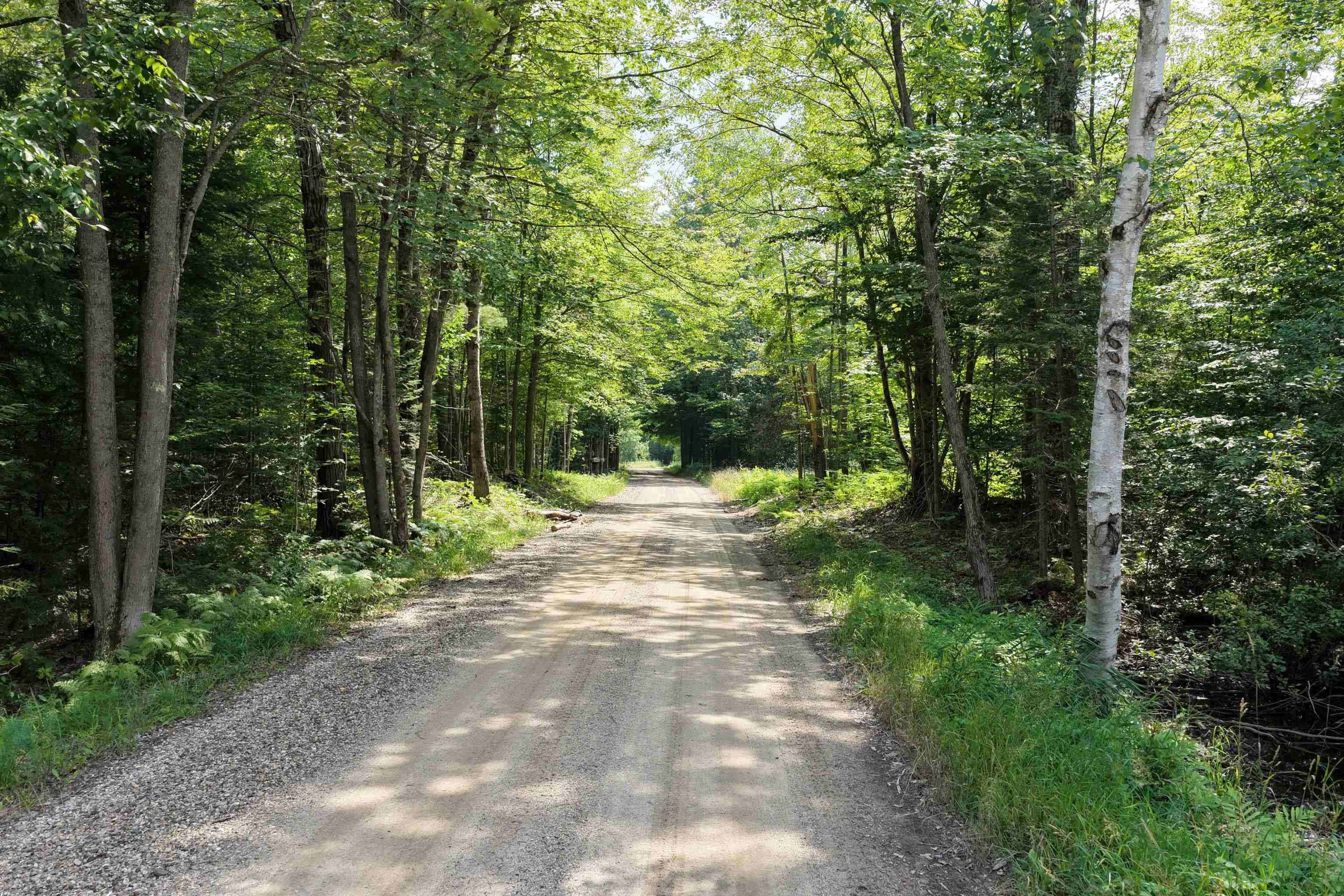 0 North 1st Road Copemish, MI 49625 - Photo 21 of 25 1944179-576cb714-9e9e-4715-a3bf-1460484e95b5.JPG
