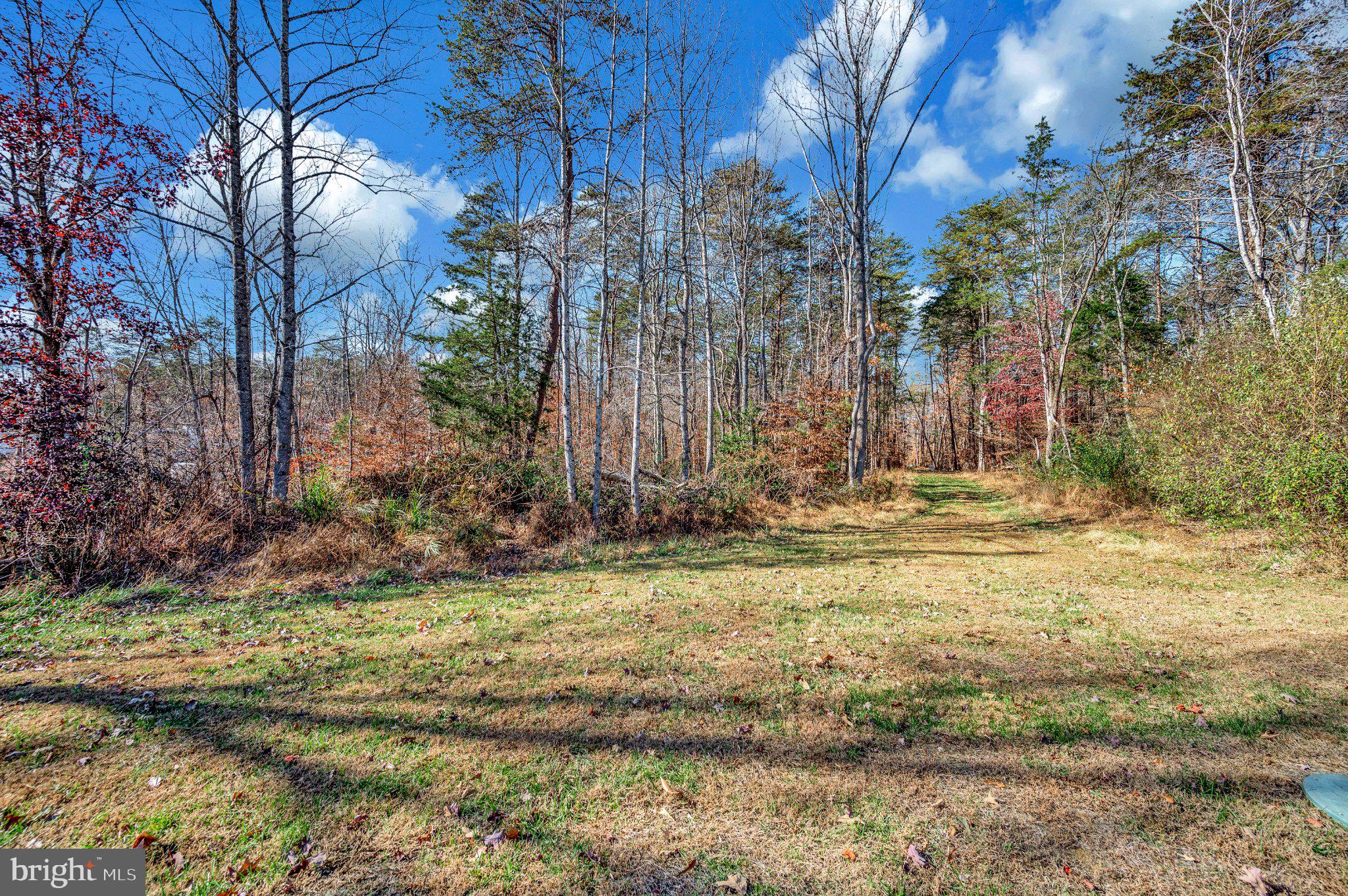 5120 Burr Hill Road Rhoadesville, VA 22542 - Photo 41 of 45 Serene woodland retreat awaits you.