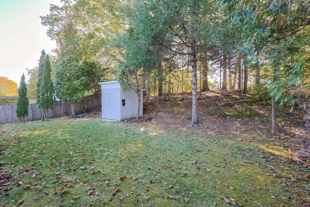 37 Maplewood Avenue Methuen, MA 01844 - Photo 40 of 42 a backyard of a house with plants and large tree