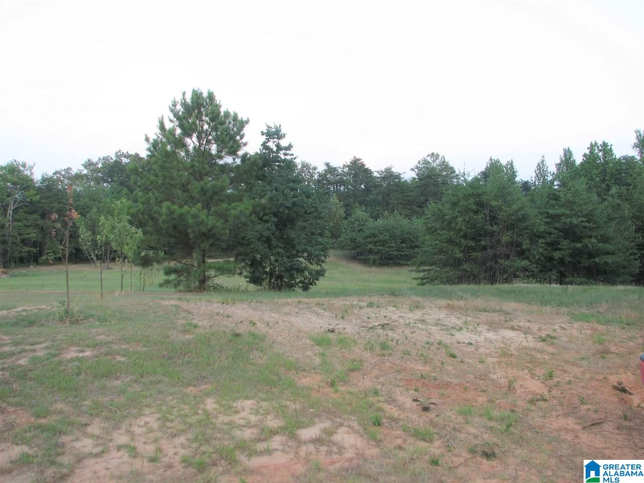 0 High Pointe Drive Warrior, AL 35180 - Photo 2 of 12