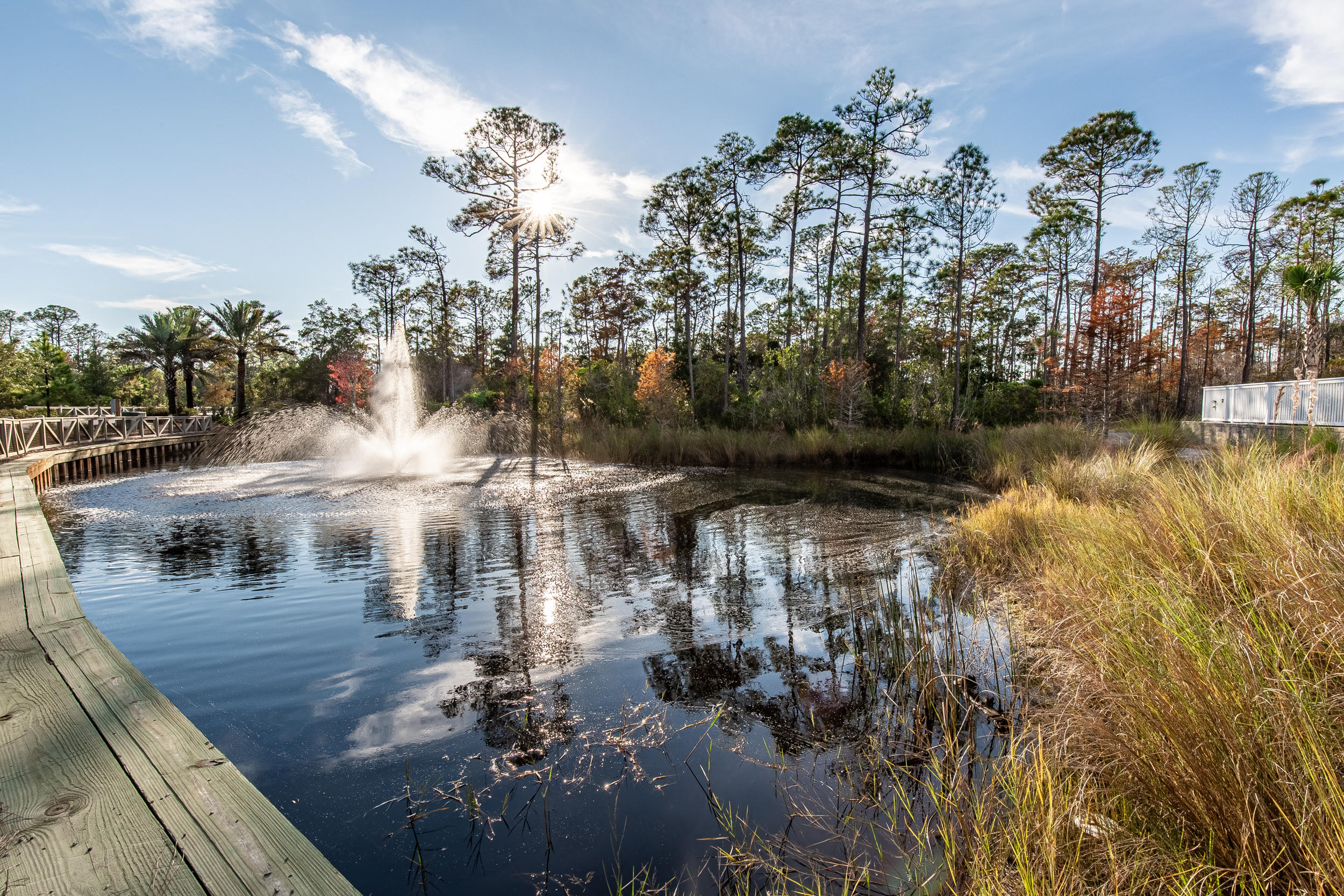 9 Prairie Pass Santa Rosa Beach, FL 32459 - Photo 4 of 40 Gallery Image 4