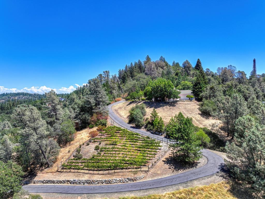 770 Bridle Path Road Colfax, CA 95713 - Photo 50 of 80