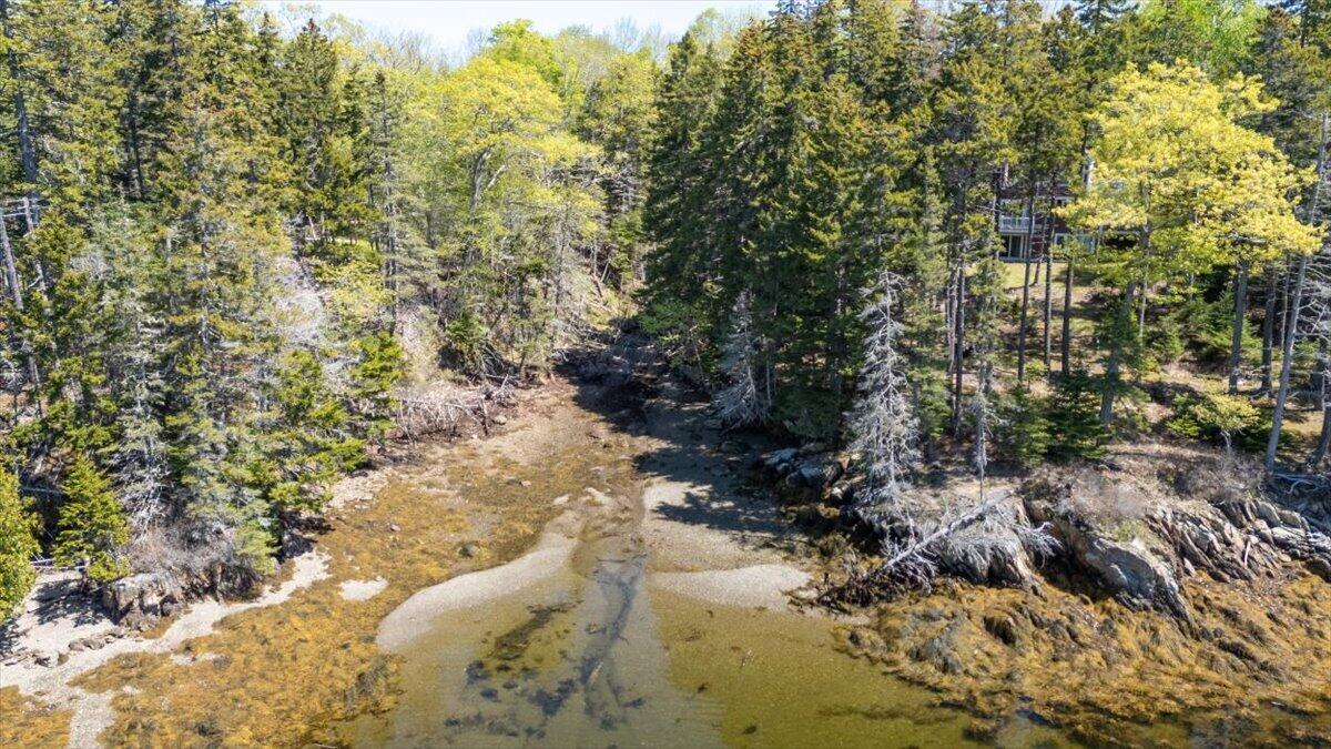 22 Map Lane Islesboro, ME 04848 - Photo 9 of 20 5-Big tree ln update-11