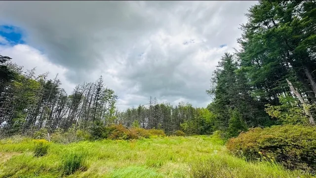 $279,000 | 7156 Highway 291, Marcy, NY 13469