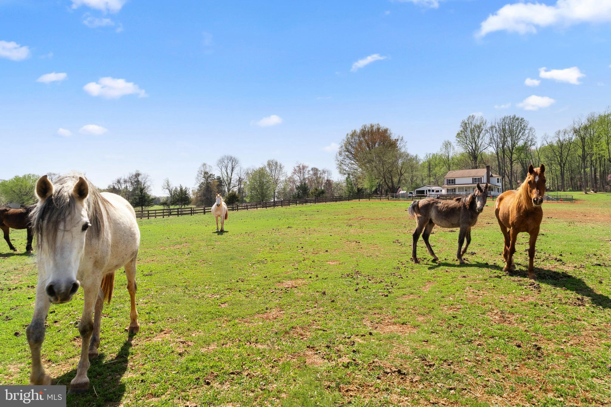 19050 Monteith Farm Road Gordonsville, VA 22942 - Photo 46 of 56