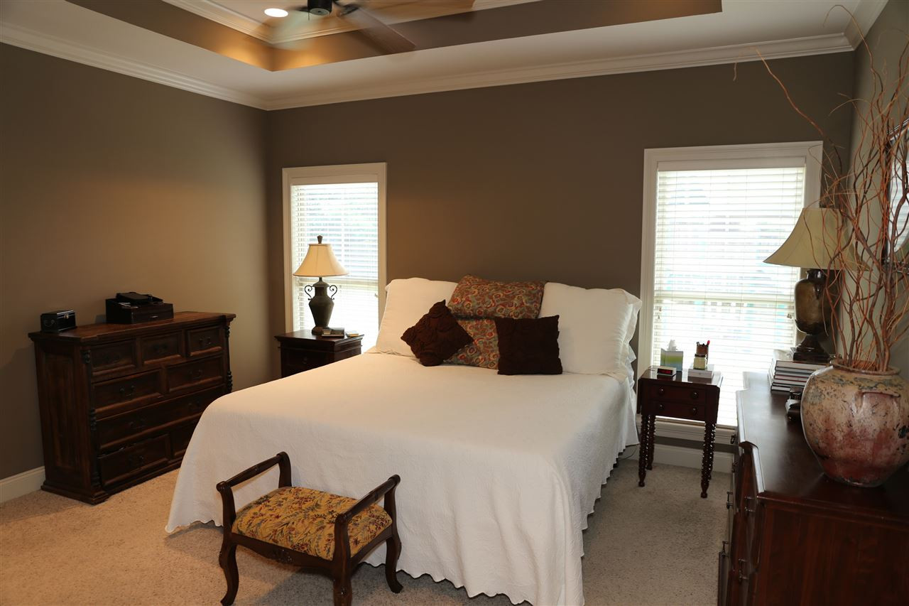 710 Tortoise Ridge Brandon, MS 39047 - Photo 17 of 37 Photo 17