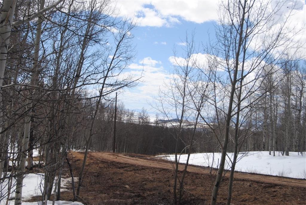 507 Lumberjack Road Fairplay, CO 80440 - Photo 22 of 27 Gallery Image 22