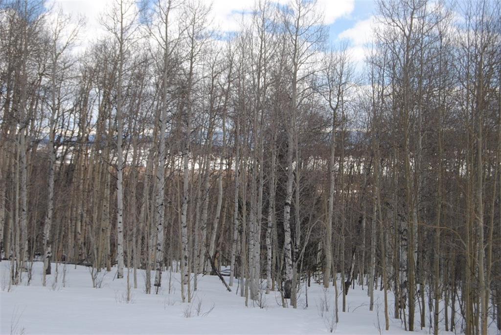 507 Lumberjack Road Fairplay, CO 80440 - Photo 6 of 27 Gallery Image 6