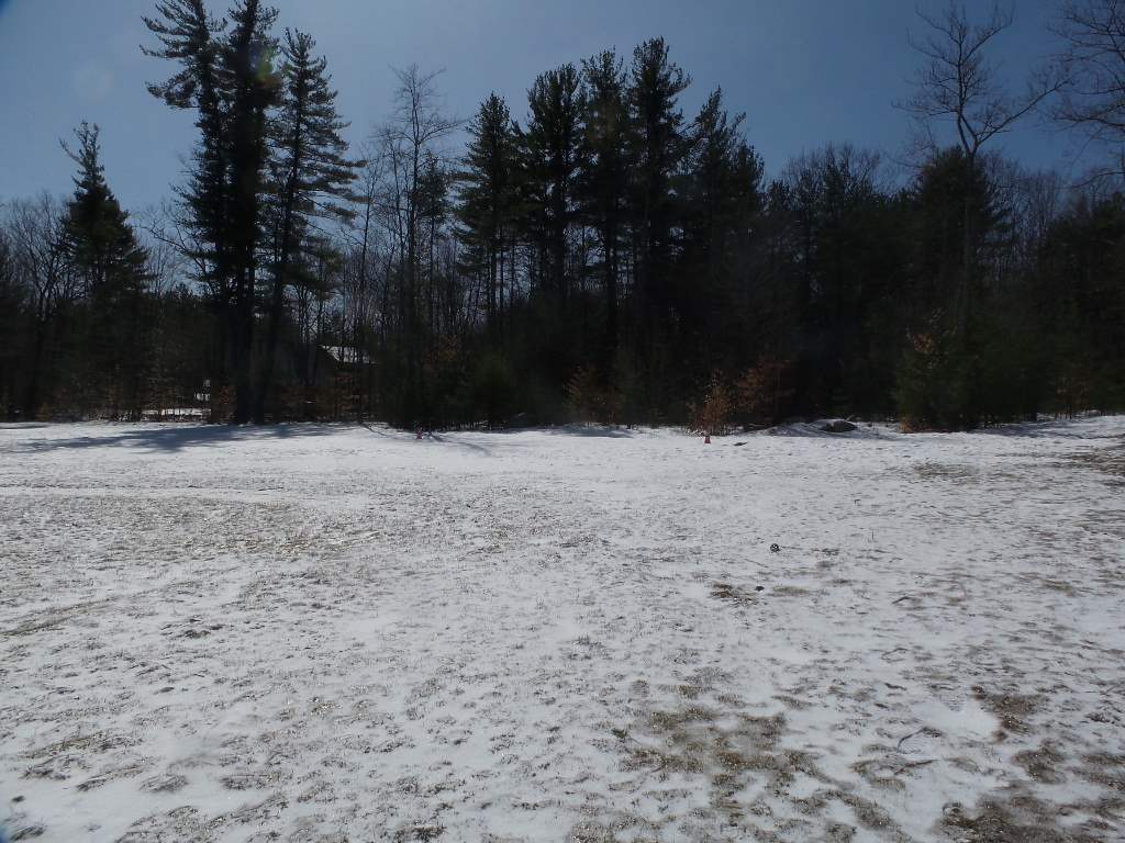 373 Horne Road Belmont, NH 03220 - Photo 4 of 23