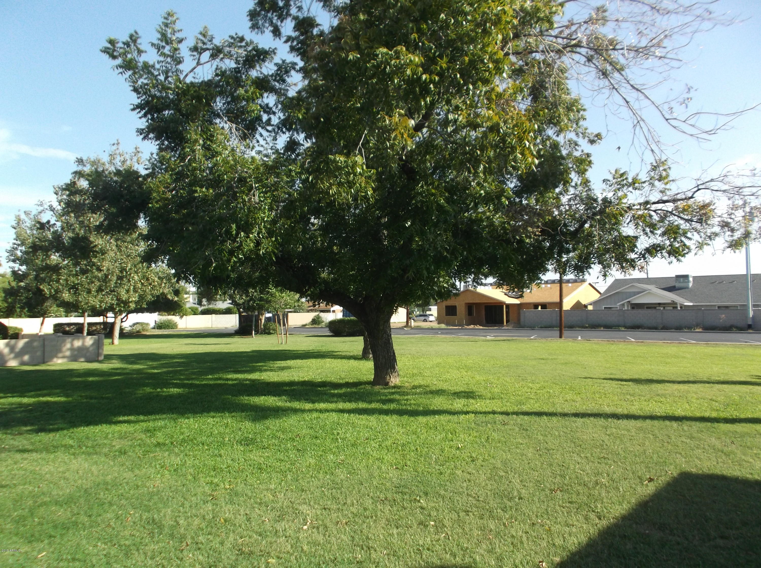 1107 West Osborn Road, Unit 217 Phoenix, AZ 85013 - Photo 18 of 25 Grass1