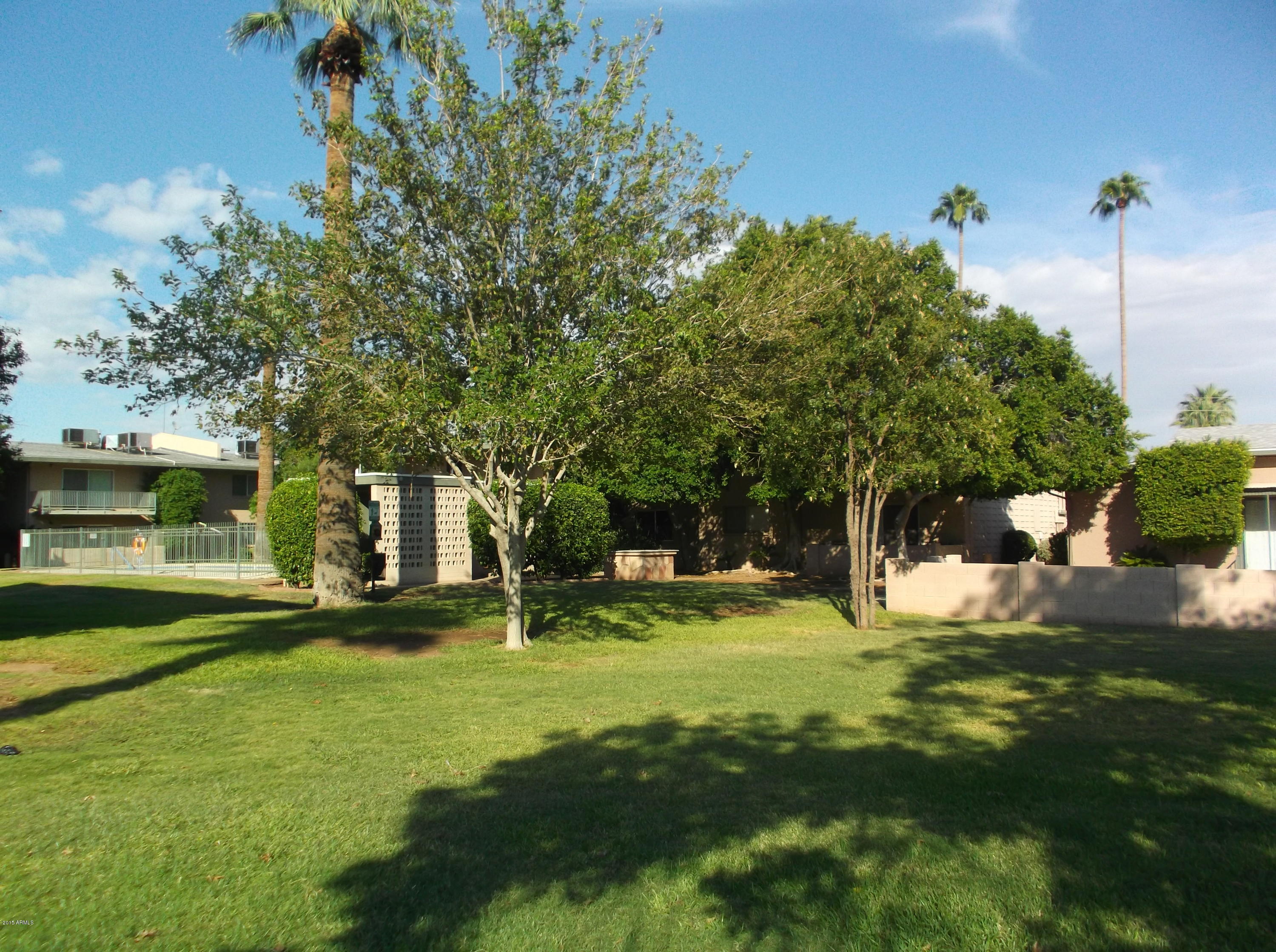 1107 West Osborn Road, Unit 217 Phoenix, AZ 85013 - Photo 19 of 25 Grass2